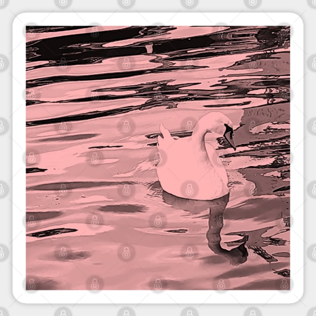 Duck in the water Sticker by PrintedDreams